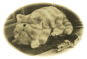 bagpuss.gif (30556 bytes)